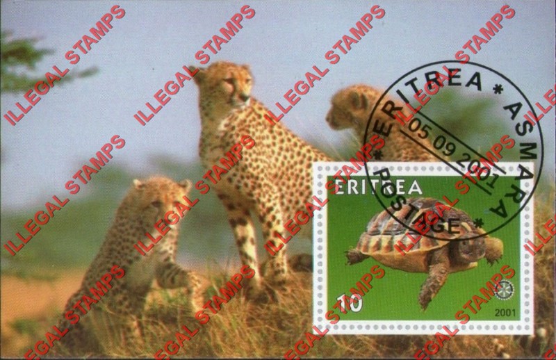 Eritrea 2001 Turtle Cheetahs Counterfeit Illegal Stamp Souvenir Sheet of 1 Eritrea 2001 Turtle Cheetahs Counterfeit Illegal Stamp Souvenir Sheet of 1